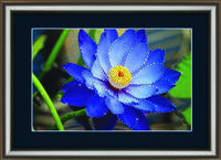 Набор картина стразами Crystal Art КС-1019 "Синий лотос"