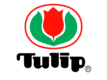 логотип торговой марки tulip