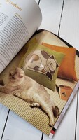 книга 50 fabric animals | інтернет магазин Сотворчество_1
