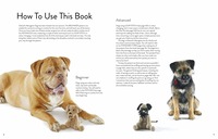 книга edward's menagerie: dogs | інтернет магазин Сотворчество_1