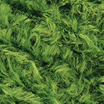 Breeze  17 зеленый | интернет магазин Сотворчество