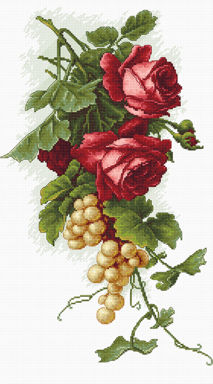b2229 красные розы с виноградом | интернет магазин Сотворчество