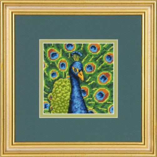 71-07242 Набор для вышивания (гобелен) DIMENSIONS Colorful Peacock "Цветной павлин" 
