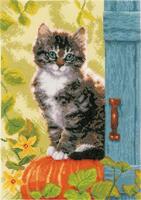фото PN-0158303 Набір для вишивання хрестом Vervaco Cat &amp; Pumpkin "Кіт та гарбуз"