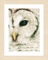 PN-0163781 Набор для вышивки крестом LanArte Snowowl "Снежная сова"