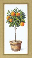 ВТ-127 Набор для вышивания крестом Crystal Art "Апельсиновое дерево"