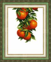 ВТ-138 Набор для вышивания крестом Crystal Art "Солнечные апельсины"