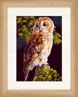 фото pn-0146814 набор для вышивки крестом lanarte owl "сова" 
