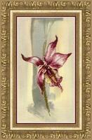 Набор для частичной вышивки крестом Чарівна Мить РК-111 "Лиловая орхидея"