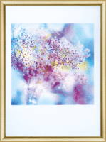 Набор картина стразами Чарівна Мить КС-163 "Утренний туман"