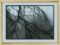 фото Набір картина стразами Чарівна Мить КС-172 "Після дощу"