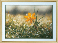 Набор картина стразами Чарівна Мить КС-178 "Утренняя роса"