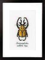 PN-0165220 Набор для вышивки крестом Vervaco Golden Beetle "Золотой жук"