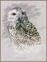 PN-0183826 Набор для вышивки крестом Vervaco Snowy Owl "Полярная сова"