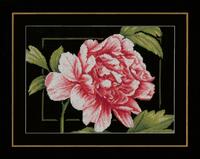 PN-0155749 Набор для вышивки Розовая роза, 33х24, аида 14, счетный крест LanArte