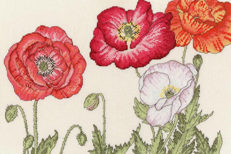 XBD15 Набор для вышивания крестом Poppy blooms "Мак цветёт" Bothy Threads