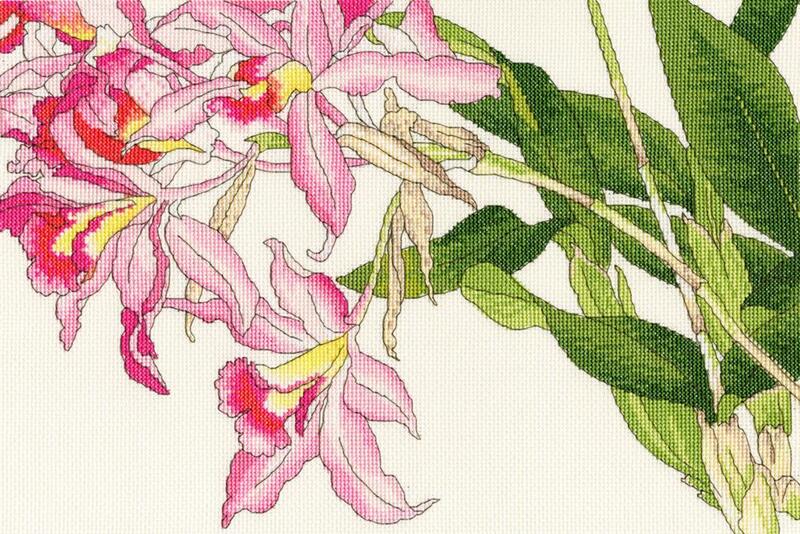 XBD16 Набор для вышивания крестом Orchid blooms "Цветет орхидея" Bothy Threads